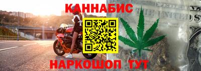 шишки Изобильный