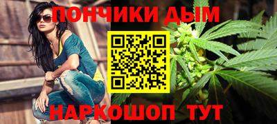 шишки Изобильный