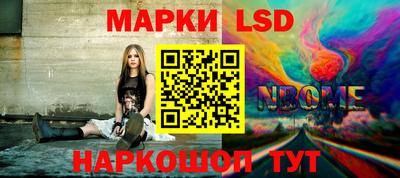 шишки Изобильный