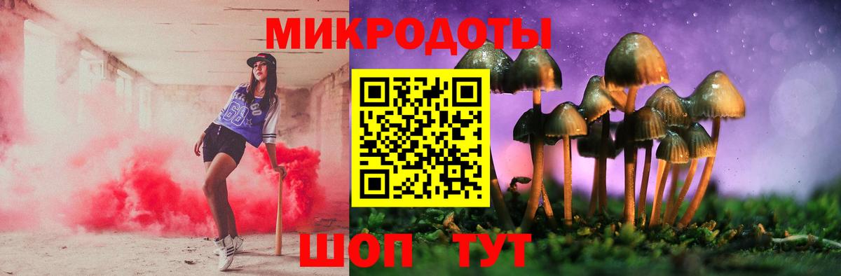 Галлюциногенные грибы Psilocybine cubensis  Вход с VPN  Вязьма  Псилоцибиновые грибы Psilocybe 